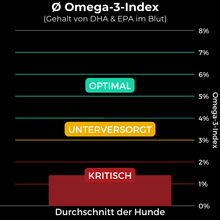 Lade das Bild in den Galerie-Viewer, Omega 3 Algenöl Haustiere