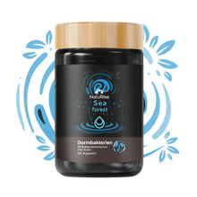 Lade das Bild in den Galerie-Viewer, Darmbakterien (90 Kapseln)