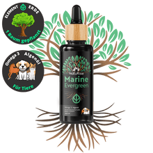 Lade das Bild in den Galerie-Viewer, Omega 3 Algenöl Haustiere