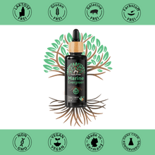 Lade das Bild in den Galerie-Viewer, Omega3 Algenöl (100ml)