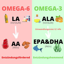 Lade das Bild in den Galerie-Viewer, Omega 3 Algenöl (Kapseln)