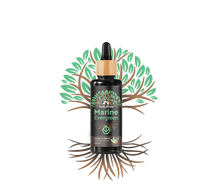 Lade das Bild in den Galerie-Viewer, Omega 3 Algenöl