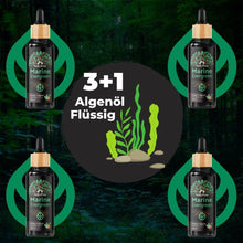 Lade das Bild in den Galerie-Viewer, Algenöl-Staffel-Paket