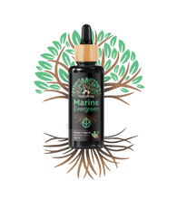 Lade das Bild in den Galerie-Viewer, Omega 3 Algenöl