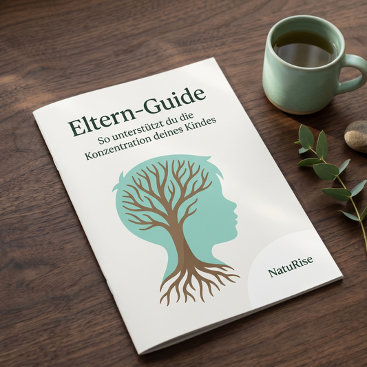 Eltern-Guide: Konzentration natürlich unterstützen