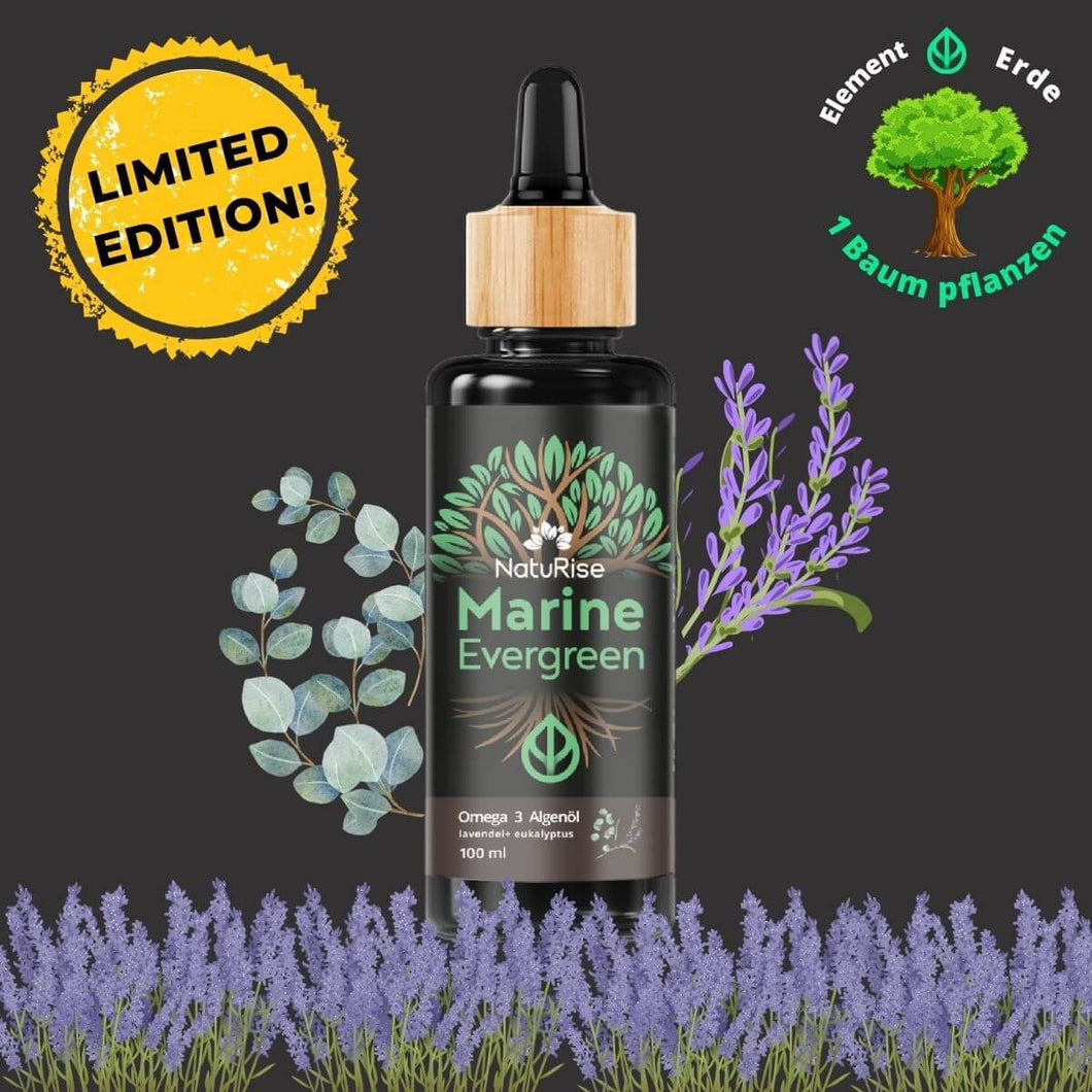 Algenöl Eukalyptus/Lavendel (100ml)