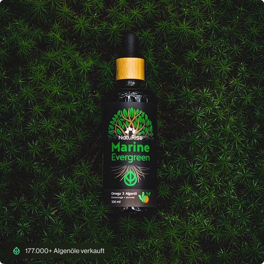 Marine Evergreen - Omega 3 Algenöl (TEST)