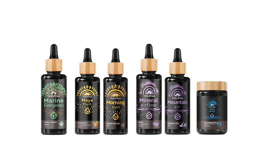 Bestseller-Paket