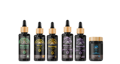 Bestseller-Paket