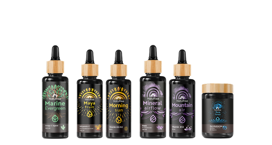 Bestseller-Paket