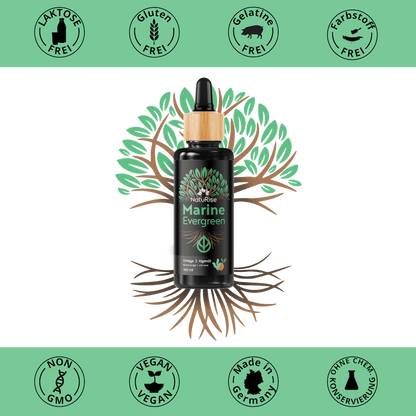Omega-3 Algenöl (100ml)
