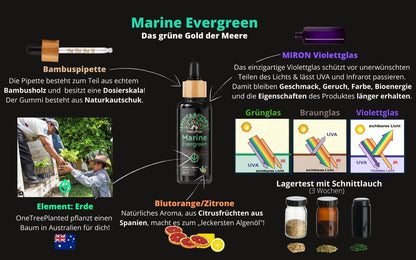 Omega-3 Algenöl (100ml)