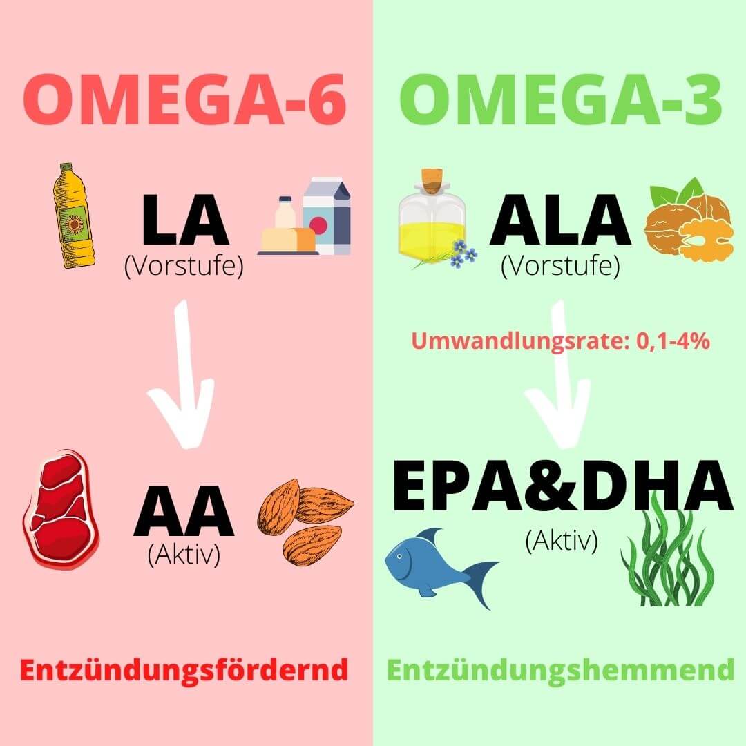 Omega 3 Algenöl (Kapseln) (rabattiert)