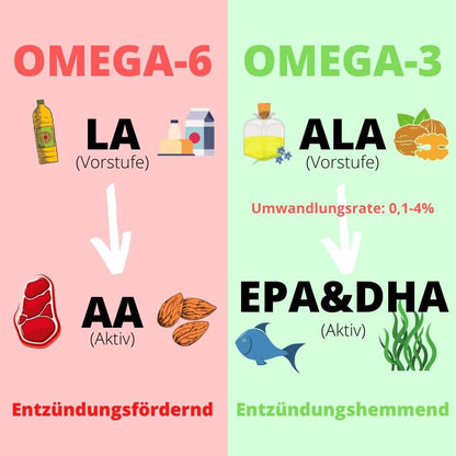 Omega 3 Algenöl (Kapseln) (rabattiert)