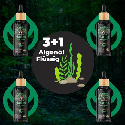 Algenöl-Staffel-Paket