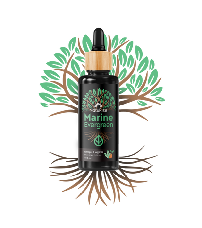 Omega3 Algenöl (100ml)