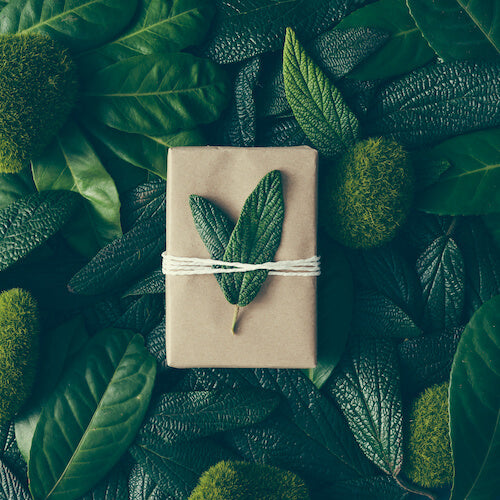 NatuRise - Geschenkgutschein